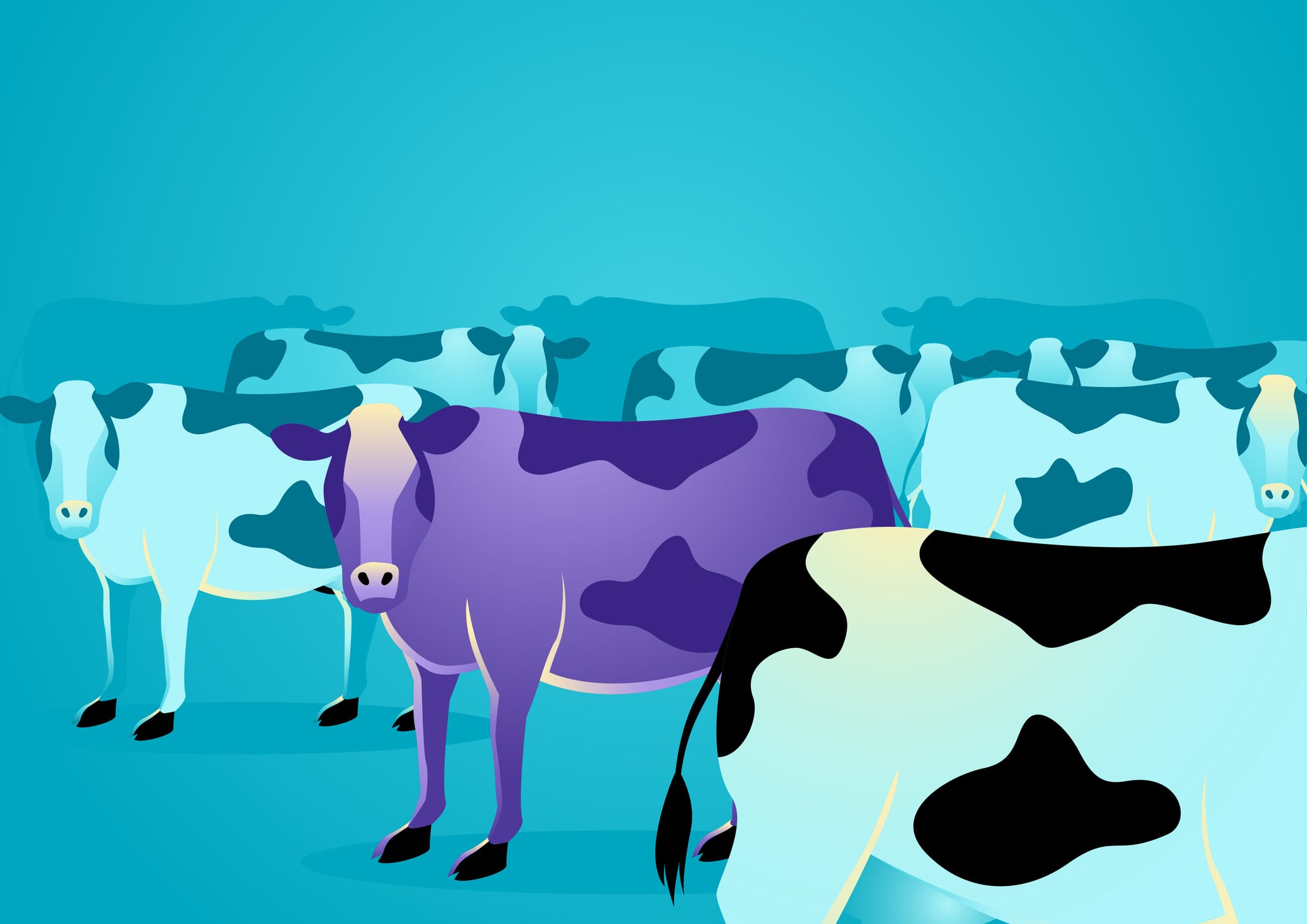 be a purple cow