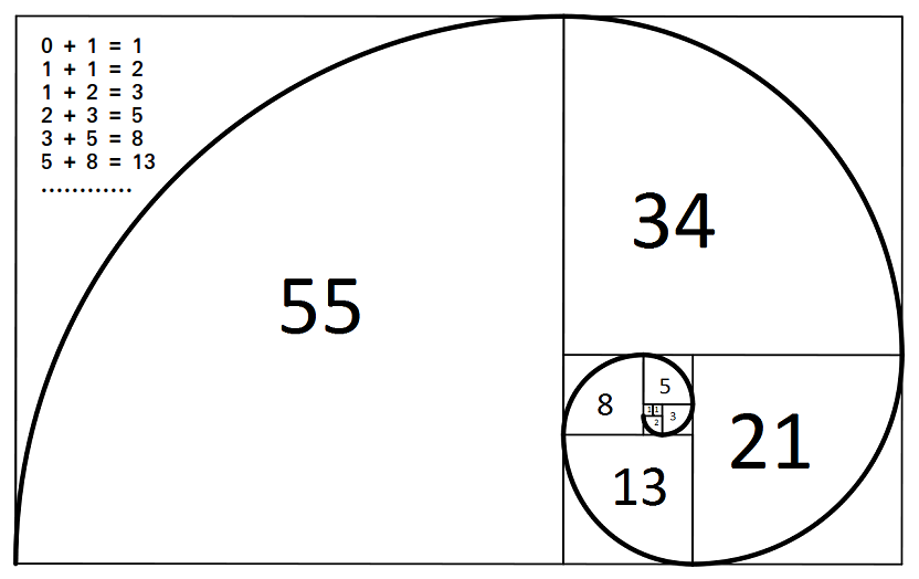 The Fibonacci Sequence